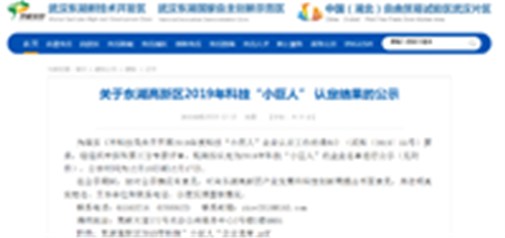 恭喜我司獲得武漢市科技“小巨人”企業(yè)！